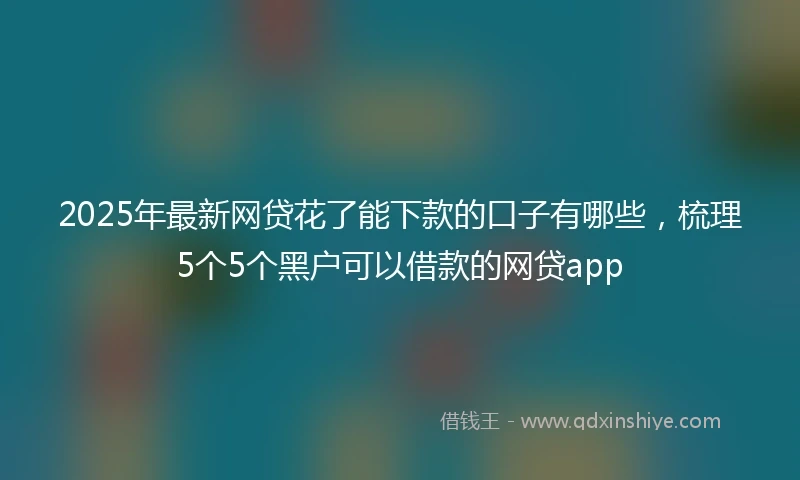 2025年最新网贷花了能下款的口子有哪些，梳理5个5个黑户可以借款的网贷app