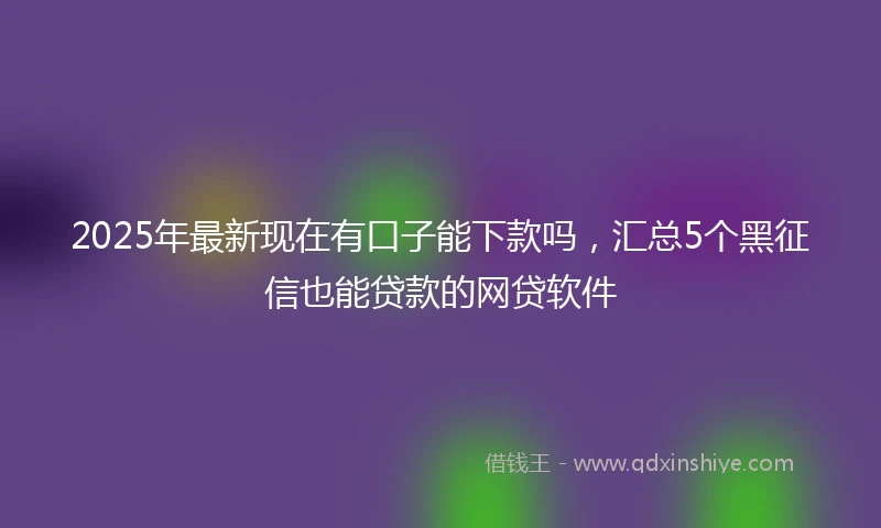 2025年最新现在有口子能下款吗，汇总5个黑征信也能贷款的网贷软件