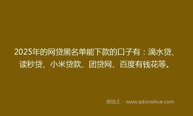 2025年的网贷黑名单能下款的口子有：滴水贷、读秒贷、小米贷款、团贷网、百度有钱花等。