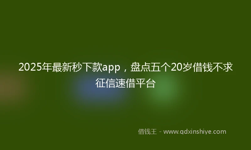 2025年最新秒下款app，盘点五个20岁借钱不求征信速借平台