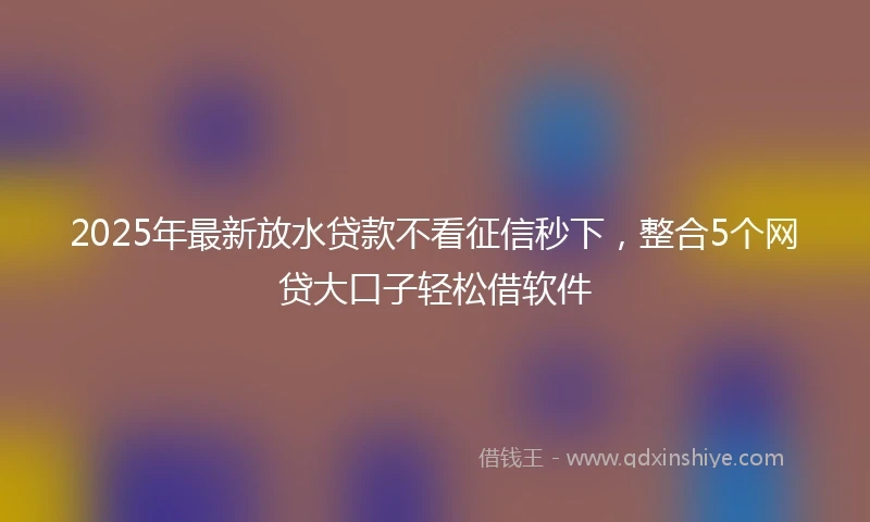 2025年最新放水贷款不看征信秒下，整合5个网贷大口子轻松借软件