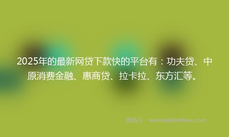 2025年的最新网贷下款快的平台有：功夫贷、中原消费金融、惠商贷、拉卡拉、东方汇等。