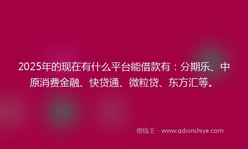 2025年的现在有什么平台能借款有：分期乐、中原消费金融、快贷通、微粒贷、东方汇等。
