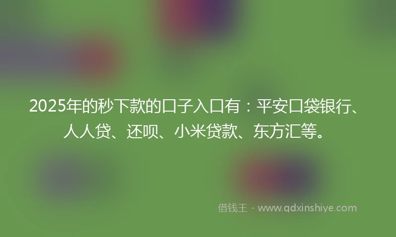 2025年的秒下款的口子入口有：平安口袋银行、人人贷、还呗、小米贷款、东方汇等。