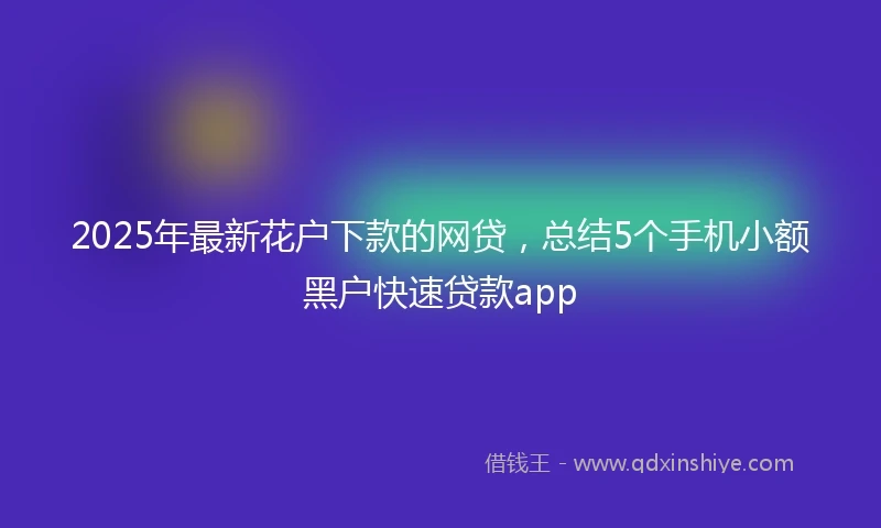 2025年最新花户下款的网贷，总结5个手机小额黑户快速贷款app
