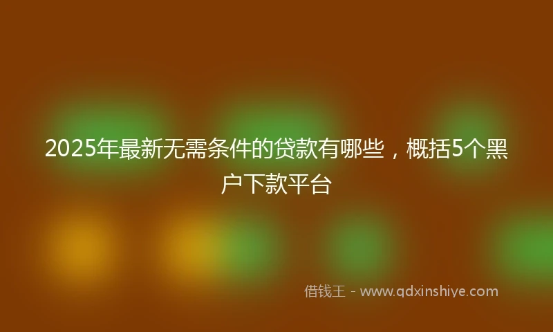 2025年最新无需条件的贷款有哪些，概括5个黑户下款平台