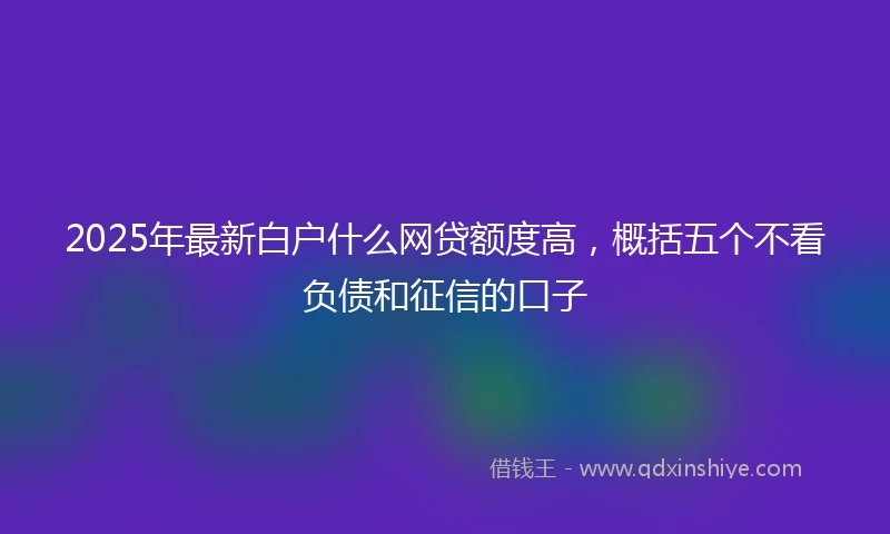 2025年最新白户什么网贷额度高，概括五个不看负债和征信的口子