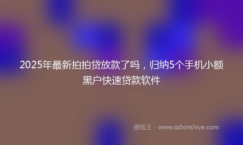 2025年最新拍拍贷放款了吗，归纳5个手机小额黑户快速贷款软件