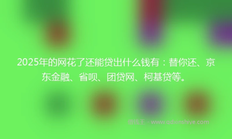 2025年的网花了还能贷出什么钱有：替你还、京东金融、省呗、团贷网、柯基贷等。