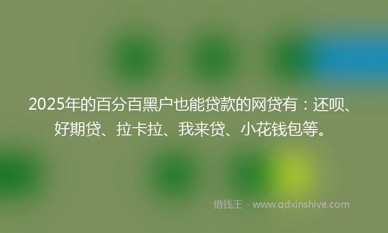 2025年的百分百黑户也能贷款的网贷有：还呗、好期贷、拉卡拉、我来贷、小花钱包等。