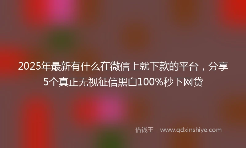 2025年最新有什么在微信上就下款的平台，分享5个真正无视征信黑白100%秒下网贷