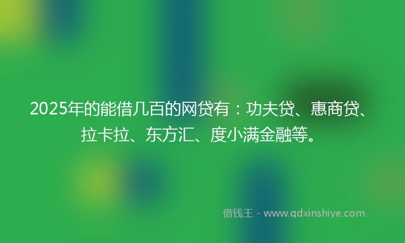 2025年的能借几百的网贷有：功夫贷、惠商贷、拉卡拉、东方汇、度小满金融等。