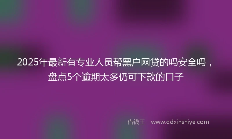 2025年最新有专业人员帮黑户网贷的吗安全吗，盘点5个逾期太多仍可下款的口子