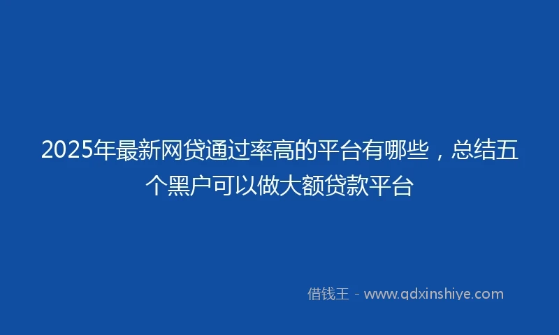 2025年最新网贷通过率高的平台有哪些，总结五个黑户可以做大额贷款平台
