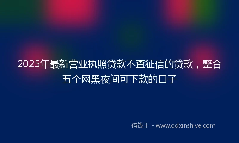 2025年最新营业执照贷款不查征信的贷款，整合五个网黑夜间可下款的口子