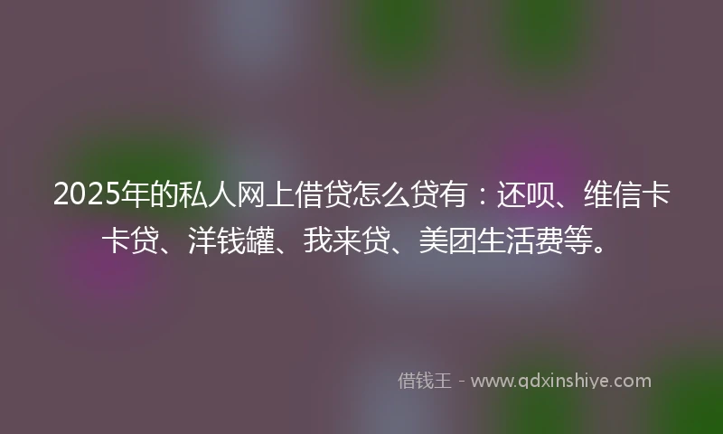 2025年的私人网上借贷怎么贷有：还呗、维信卡卡贷、洋钱罐、我来贷、美团生活费等。
