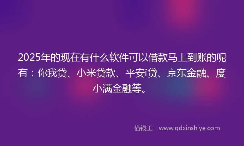 2025年的现在有什么软件可以借款马上到账的呢有：你我贷、小米贷款、平安i贷、京东金融、度小满金融等。