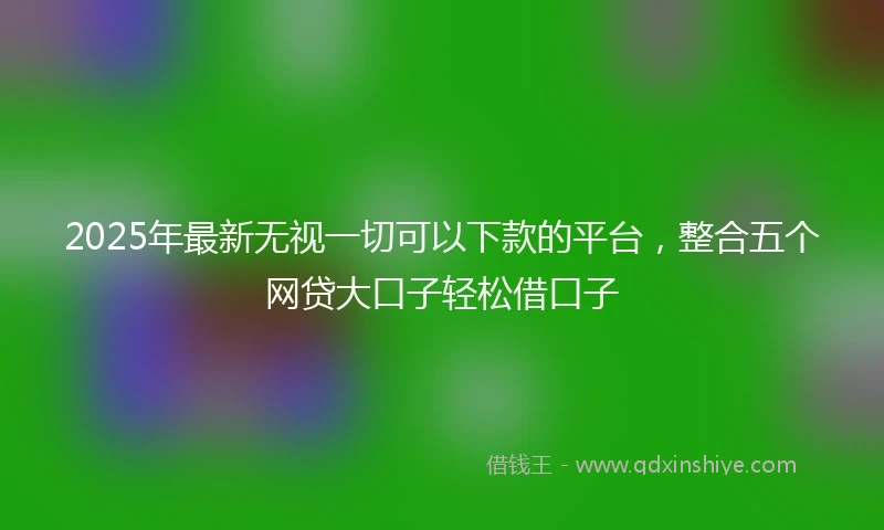 2025年最新无视一切可以下款的平台，整合五个网贷大口子轻松借口子