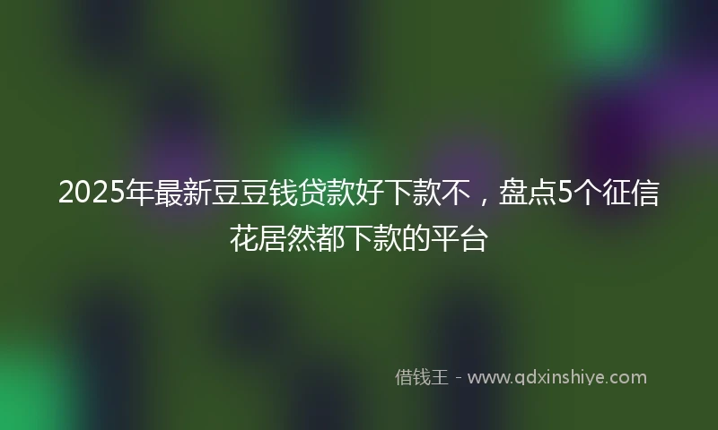 2025年最新豆豆钱贷款好下款不，盘点5个征信花居然都下款的平台