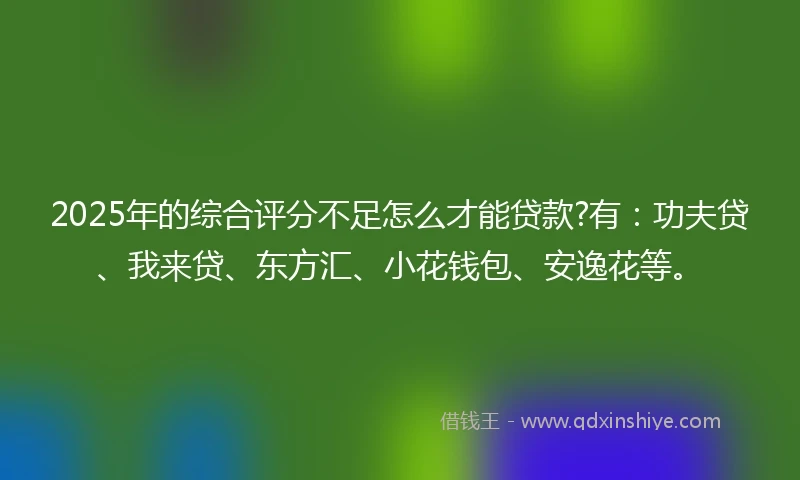 2025年的综合评分不足怎么才能贷款?有：功夫贷、我来贷、东方汇、小花钱包、安逸花等。