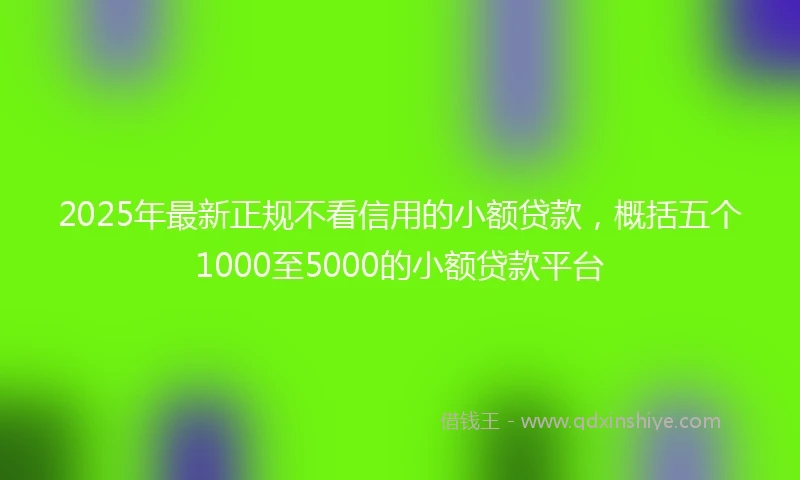 2025年最新正规不看信用的小额贷款，概括五个1000至5000的小额贷款平台