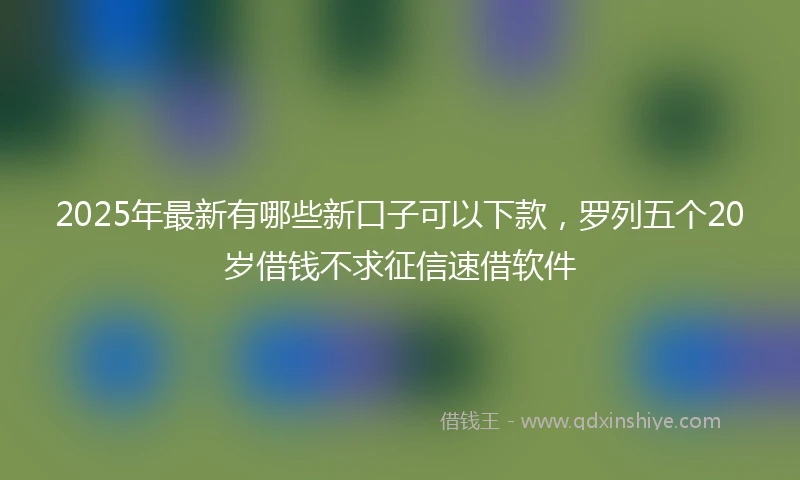 2025年最新有哪些新口子可以下款，罗列五个20岁借钱不求征信速借软件
