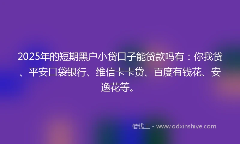 2025年的短期黑户小贷口子能贷款吗有：你我贷、平安口袋银行、维信卡卡贷、百度有钱花、安逸花等。