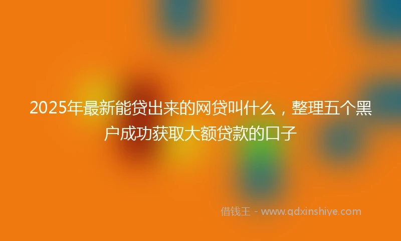 2025年最新能贷出来的网贷叫什么，整理五个黑户成功获取大额贷款的口子