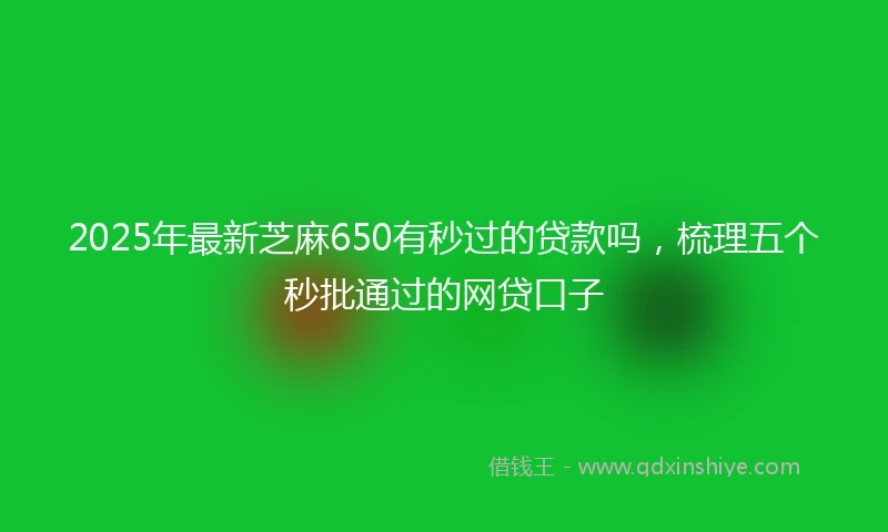 2025年最新芝麻650有秒过的贷款吗，梳理五个秒批通过的网贷口子