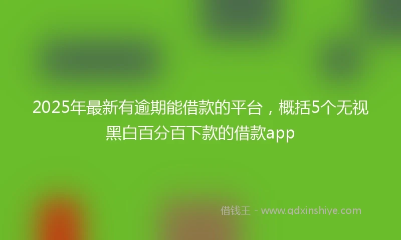 2025年最新有逾期能借款的平台，概括5个无视黑白百分百下款的借款app