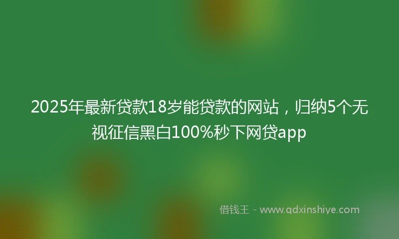 2025年最新贷款18岁能贷款的网站，归纳5个无视征信黑白100%秒下网贷app