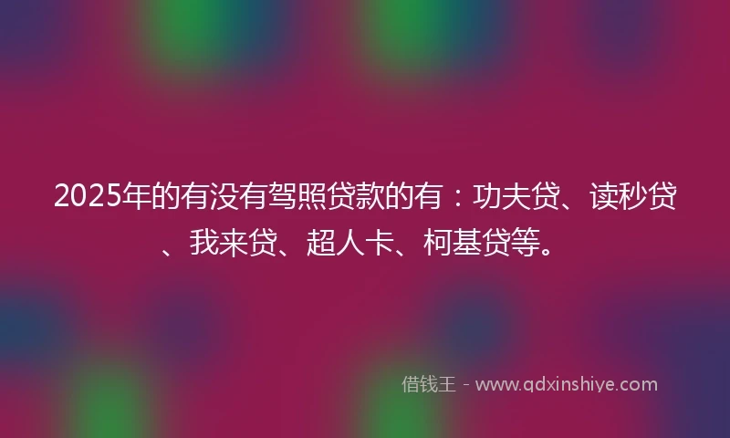 2025年的有没有驾照贷款的有：功夫贷、读秒贷、我来贷、超人卡、柯基贷等。