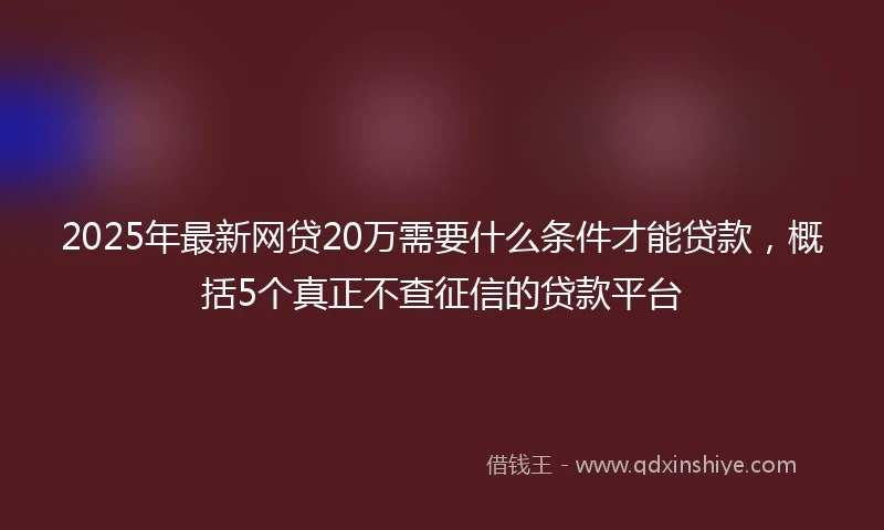 2025年最新网贷20万需要什么条件才能贷款，概括5个真正不查征信的贷款平台