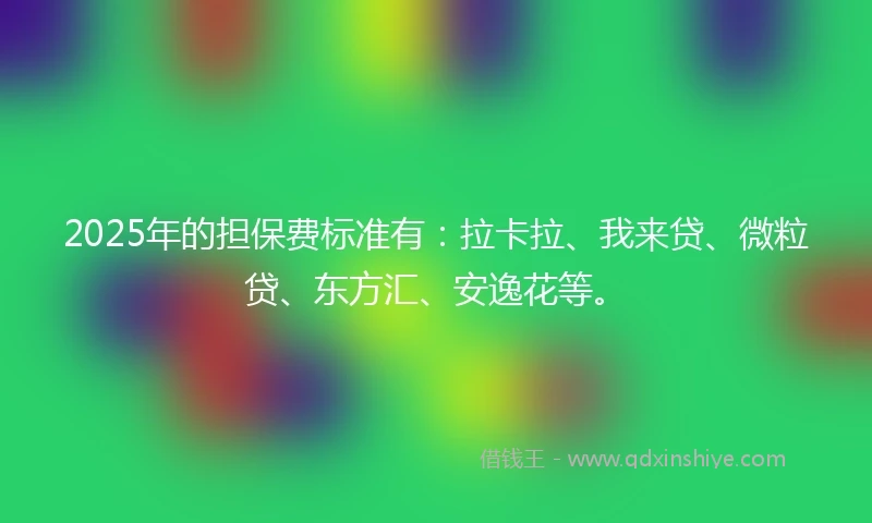 2025年的担保费标准有：拉卡拉、我来贷、微粒贷、东方汇、安逸花等。