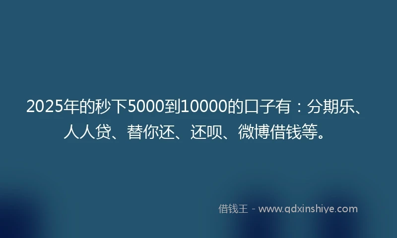 2025年的秒下5000到10000的口子有：分期乐、人人贷、替你还、还呗、微博借钱等。