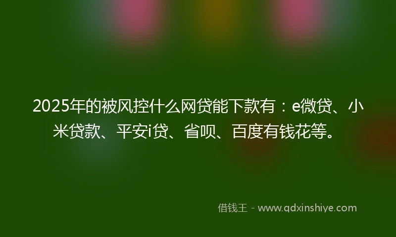 2025年的被风控什么网贷能下款有：e微贷、小米贷款、平安i贷、省呗、百度有钱花等。