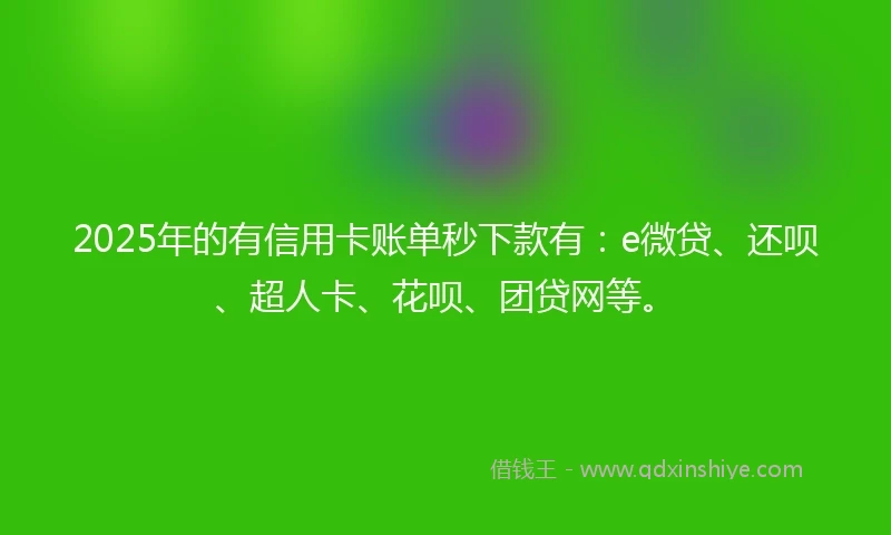 2025年的有信用卡账单秒下款有：e微贷、还呗、超人卡、花呗、团贷网等。