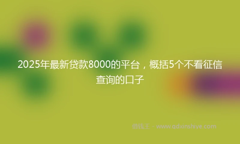 2025年最新贷款8000的平台，概括5个不看征信查询的口子