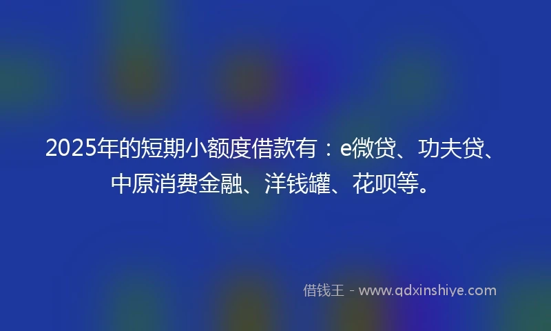 2025年的短期小额度借款有：e微贷、功夫贷、中原消费金融、洋钱罐、花呗等。