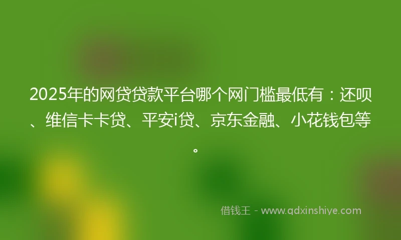 2025年的网贷贷款平台哪个网门槛最低有：还呗、维信卡卡贷、平安i贷、京东金融、小花钱包等。