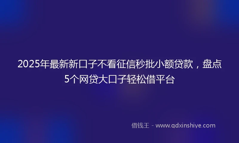 2025年最新新口子不看征信秒批小额贷款，盘点5个网贷大口子轻松借平台