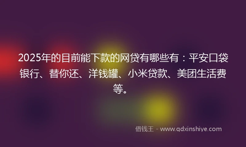 2025年的目前能下款的网贷有哪些有：平安口袋银行、替你还、洋钱罐、小米贷款、美团生活费等。