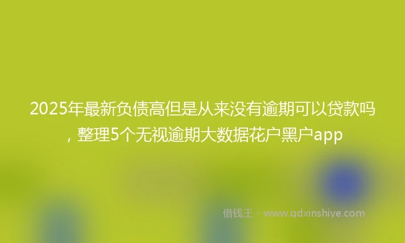 2025年最新负债高但是从来没有逾期可以贷款吗，整理5个无视逾期大数据花户黑户app