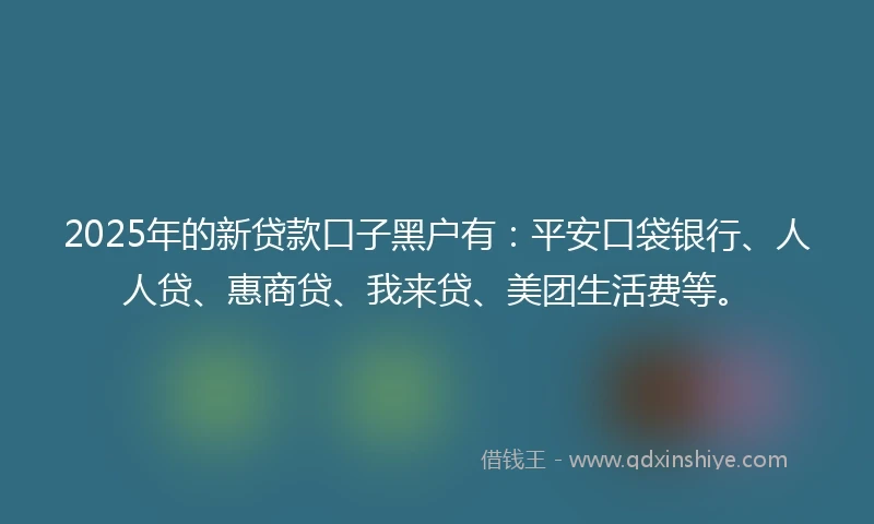 2025年的新贷款口子黑户有：平安口袋银行、人人贷、惠商贷、我来贷、美团生活费等。