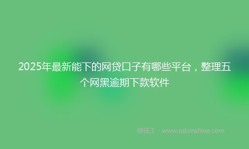 2025年最新能下的网贷口子有哪些平台，整理五个网黑逾期下款软件
