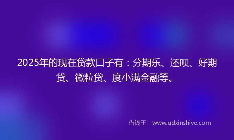 2025年的现在贷款口子有：分期乐、还呗、好期贷、微粒贷、度小满金融等。