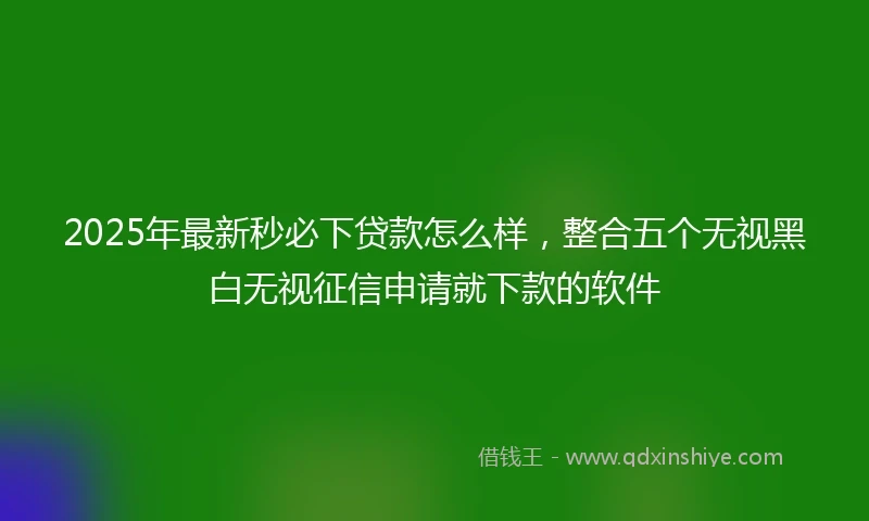 2025年最新秒必下贷款怎么样，整合五个无视黑白无视征信申请就下款的软件