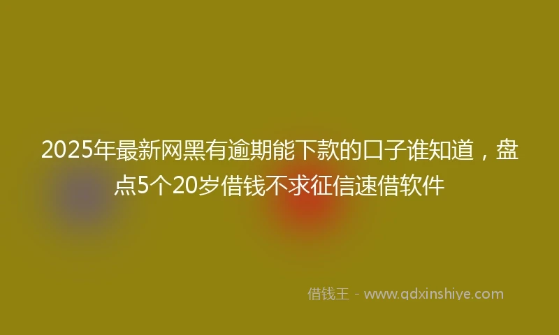 2025年最新网黑有逾期能下款的口子谁知道，盘点5个20岁借钱不求征信速借软件