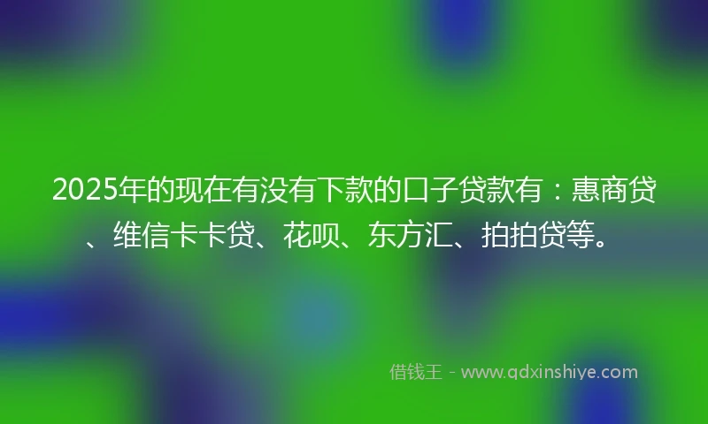 2025年的现在有没有下款的口子贷款有：惠商贷、维信卡卡贷、花呗、东方汇、拍拍贷等。