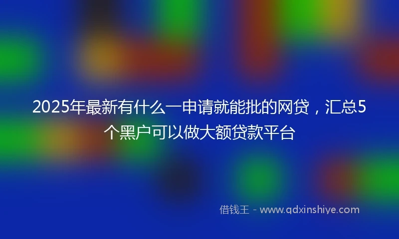 2025年最新有什么一申请就能批的网贷，汇总5个黑户可以做大额贷款平台